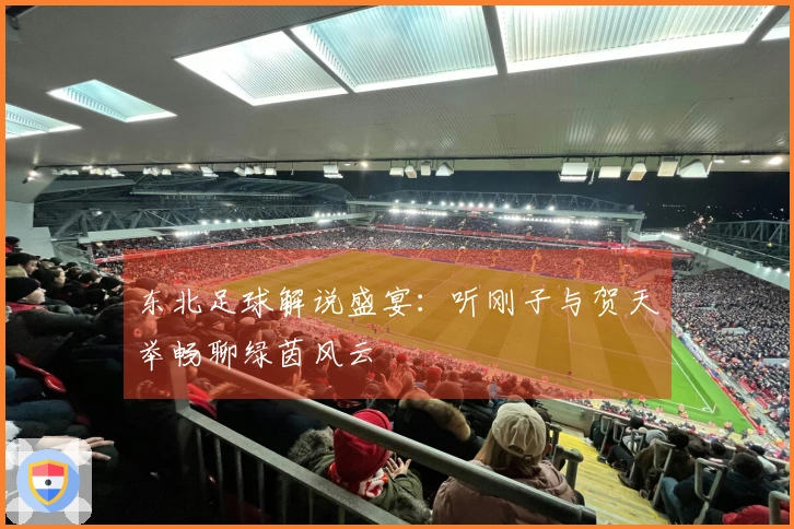 东北足球解说盛宴：听刚子与贺天举畅聊绿茵风云